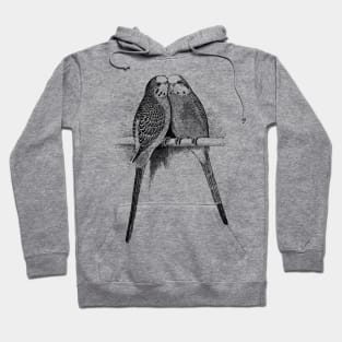 Budgies Hoodie